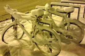 biciclete ninse